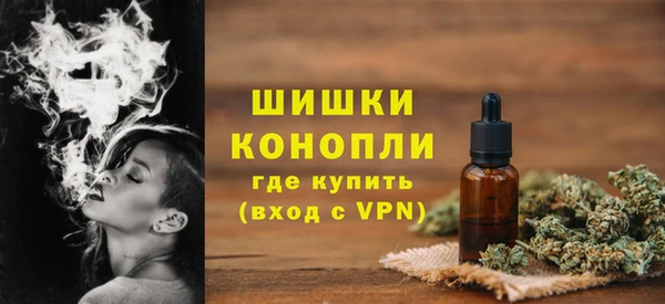 Альфа ПВП Белокуриха
