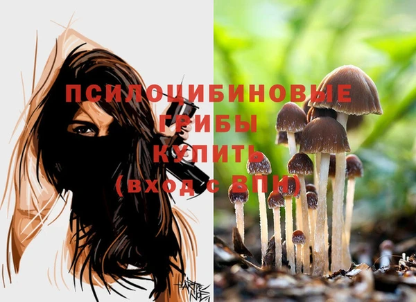 Альфа ПВП Белокуриха