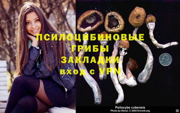 Альфа ПВП Белокуриха