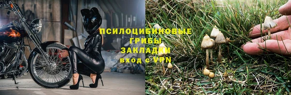 Альфа ПВП Белокуриха