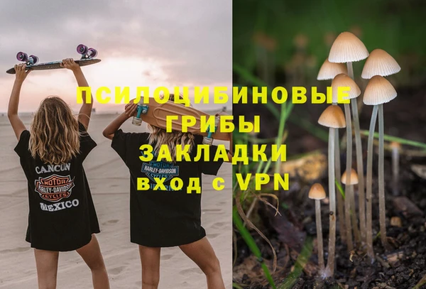Альфа ПВП Белокуриха