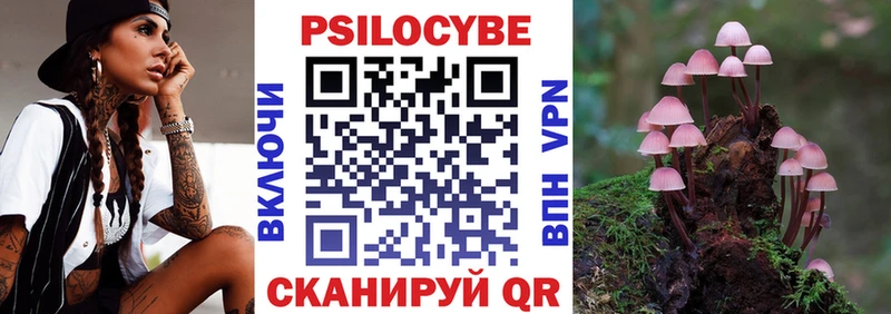 наркошоп  Мезень  Псилоцибиновые грибы Psilocybine cubensis 
