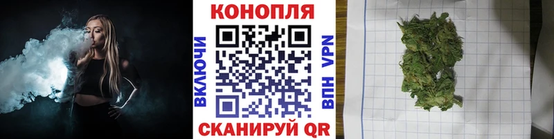 Марихуана гибрид  Мезень 